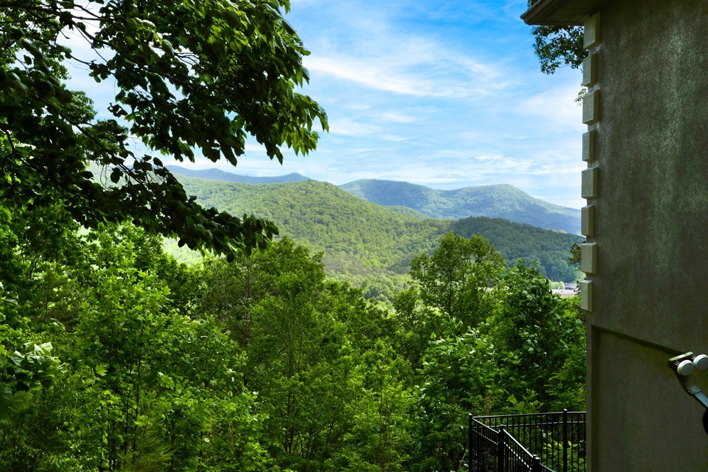 4247 Asheland Overlook, YOUNG HARRIS, Georgia image 31