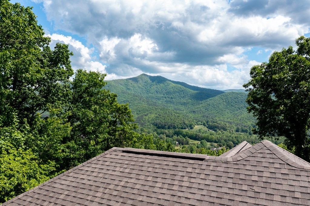 4247 Asheland Overlook, YOUNG HARRIS, Georgia image 40