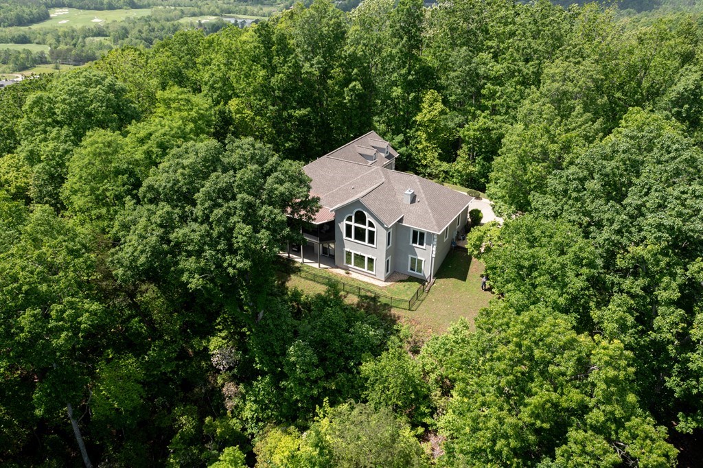 4247 Asheland Overlook, YOUNG HARRIS, Georgia image 35