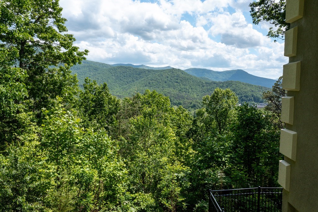 4247 Asheland Overlook, YOUNG HARRIS, Georgia image 42