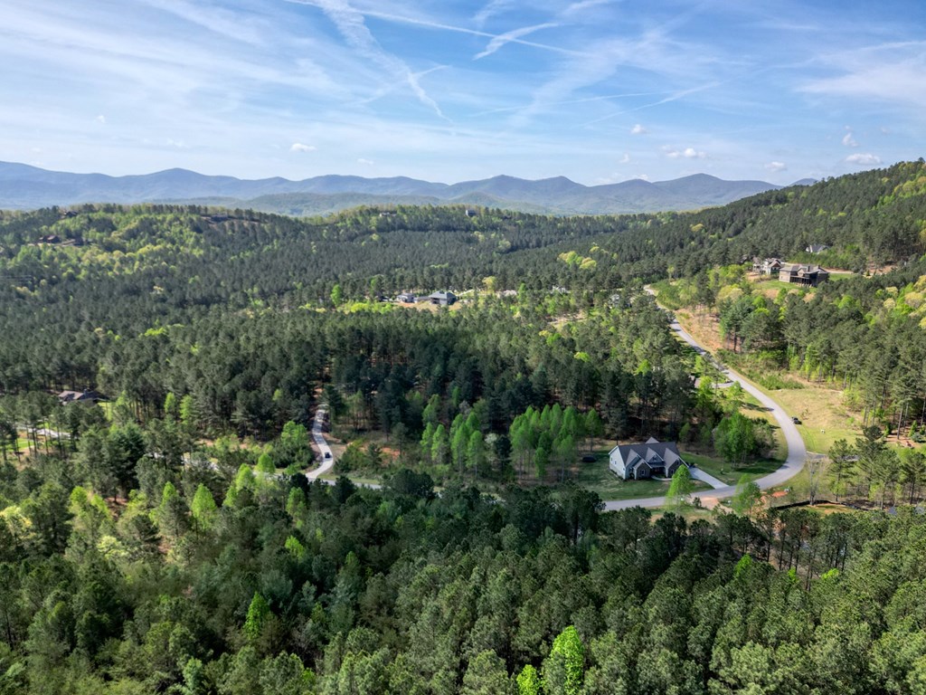 163 Staples Loop #163, BLAIRSVILLE, Georgia image 11