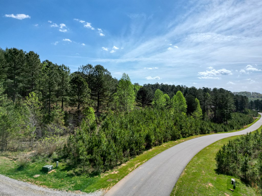 163 Staples Loop #163, BLAIRSVILLE, Georgia image 9