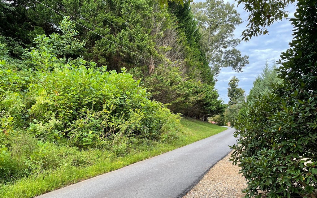 Lot 27 Sneaking Creek #27, HAYESVILLE, North Carolina image 2