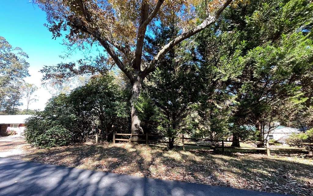 Lot 27 Sneaking Creek #27, HAYESVILLE, North Carolina image 18