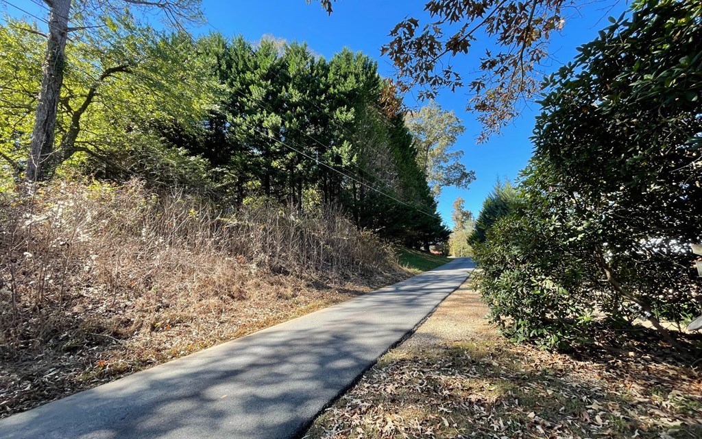 Lot 27 Sneaking Creek #27, HAYESVILLE, North Carolina image 20