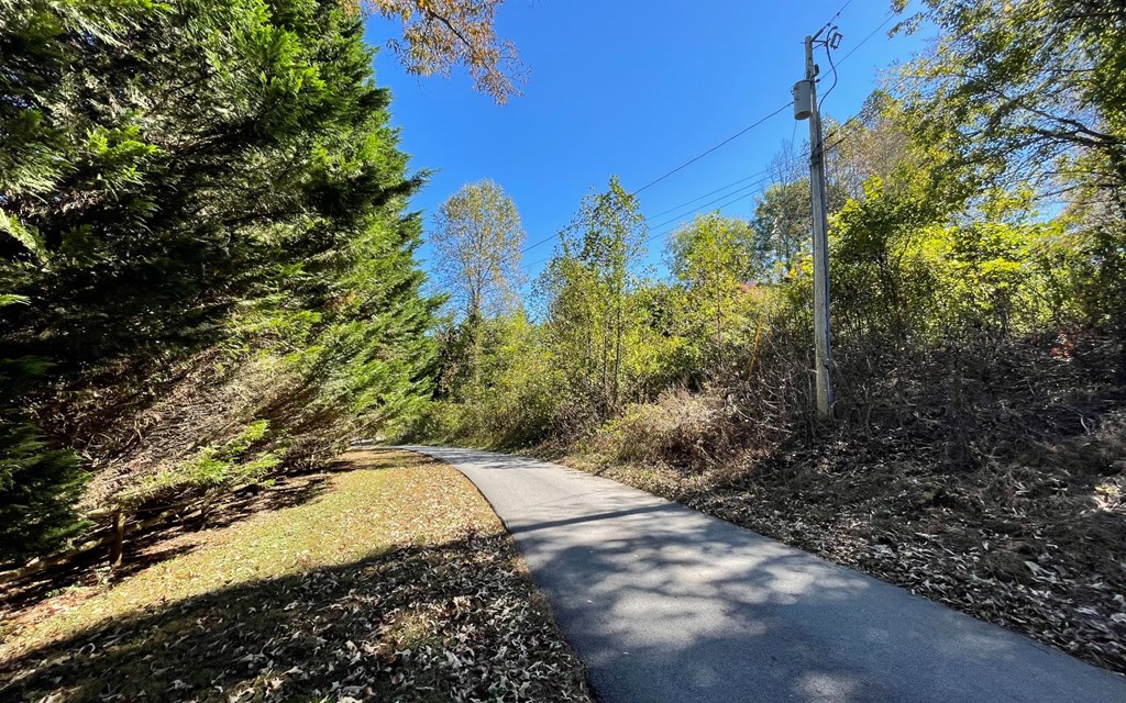 Lot 27 Sneaking Creek #27, HAYESVILLE, North Carolina image 16