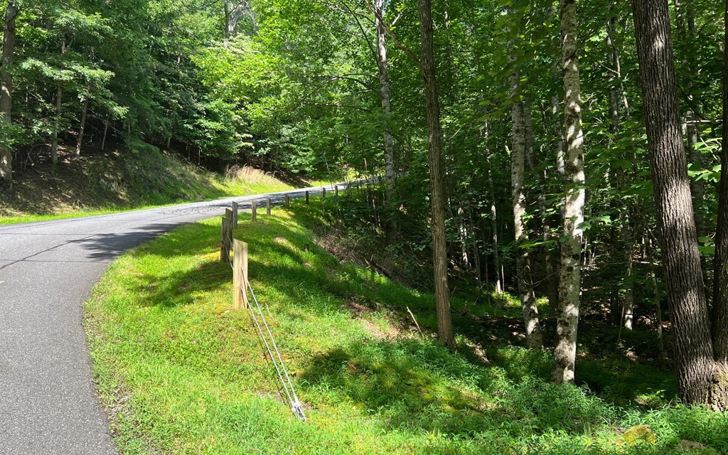 Lot 40 Double Knobs #40, HAYESVILLE, North Carolina image 4