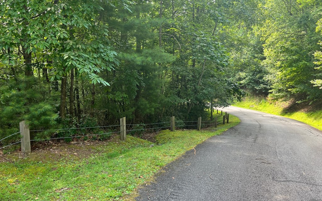 Lot 40 Double Knobs #40, HAYESVILLE, North Carolina image 3