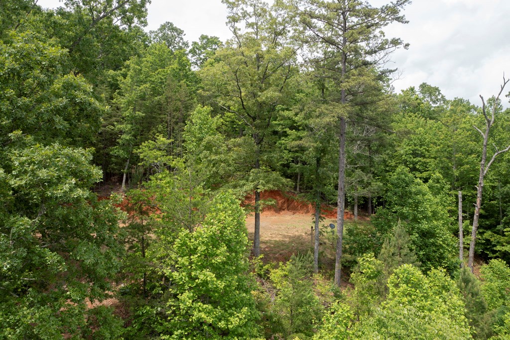 62 Green Cove Spur, MURPHY, North Carolina image 23