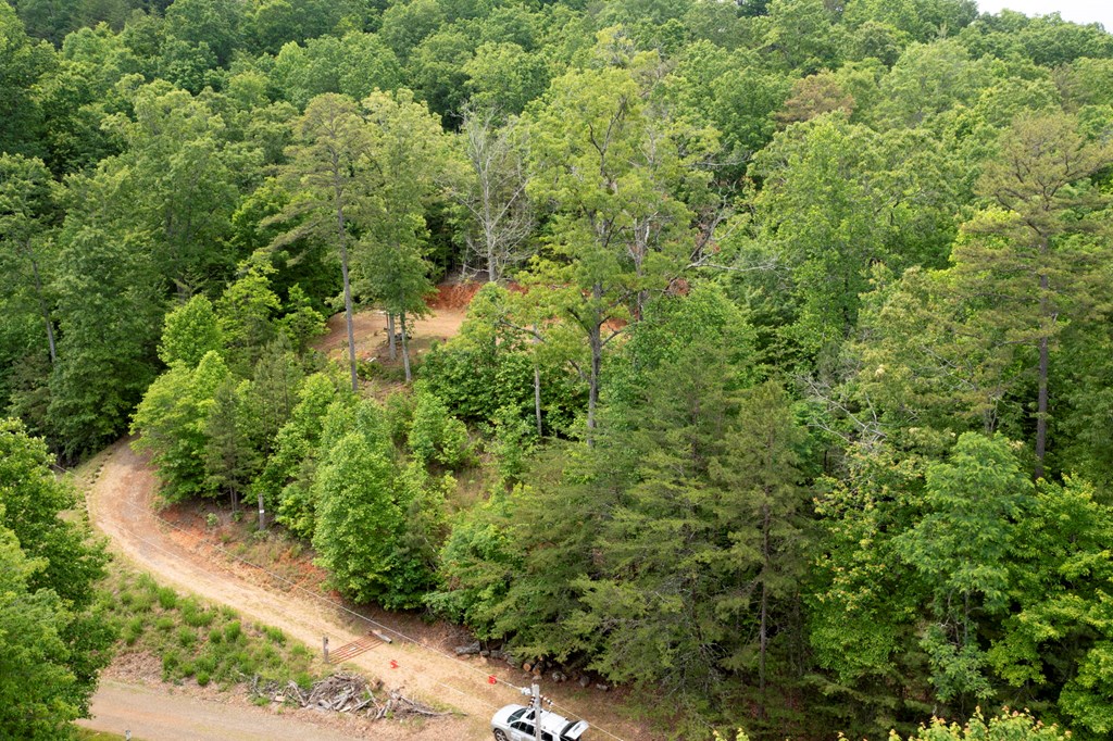 62 Green Cove Spur, MURPHY, North Carolina image 4