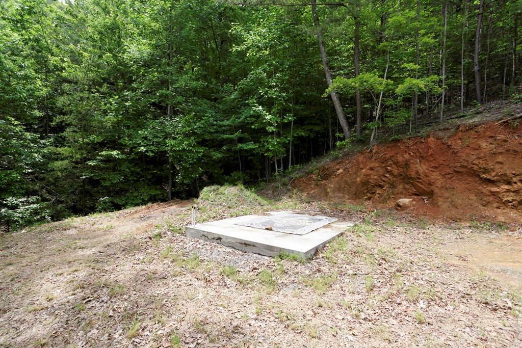62 Green Cove Spur, MURPHY, North Carolina image 13
