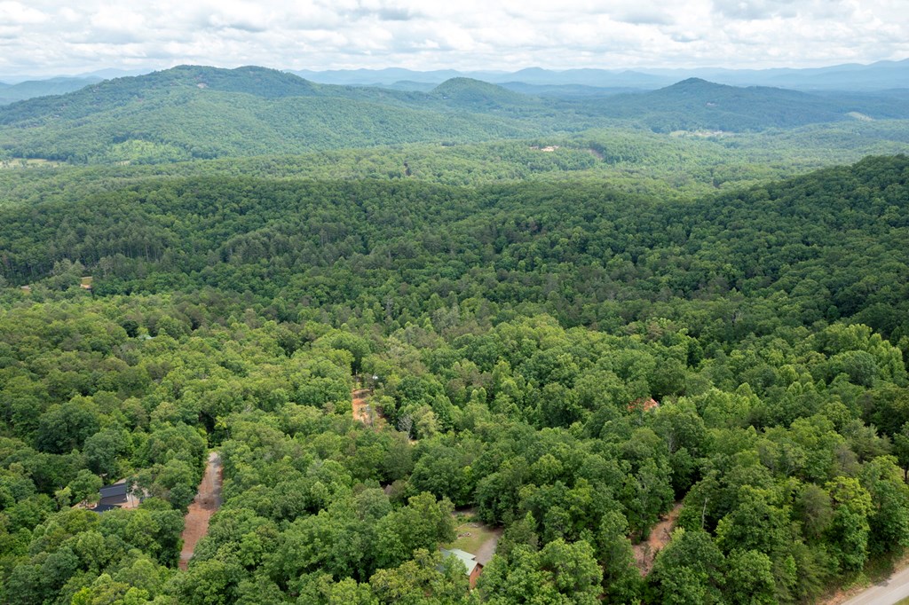 62 Green Cove Spur, MURPHY, North Carolina image 3
