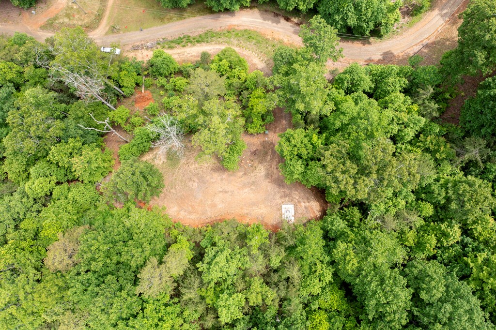 62 Green Cove Spur, MURPHY, North Carolina image 17
