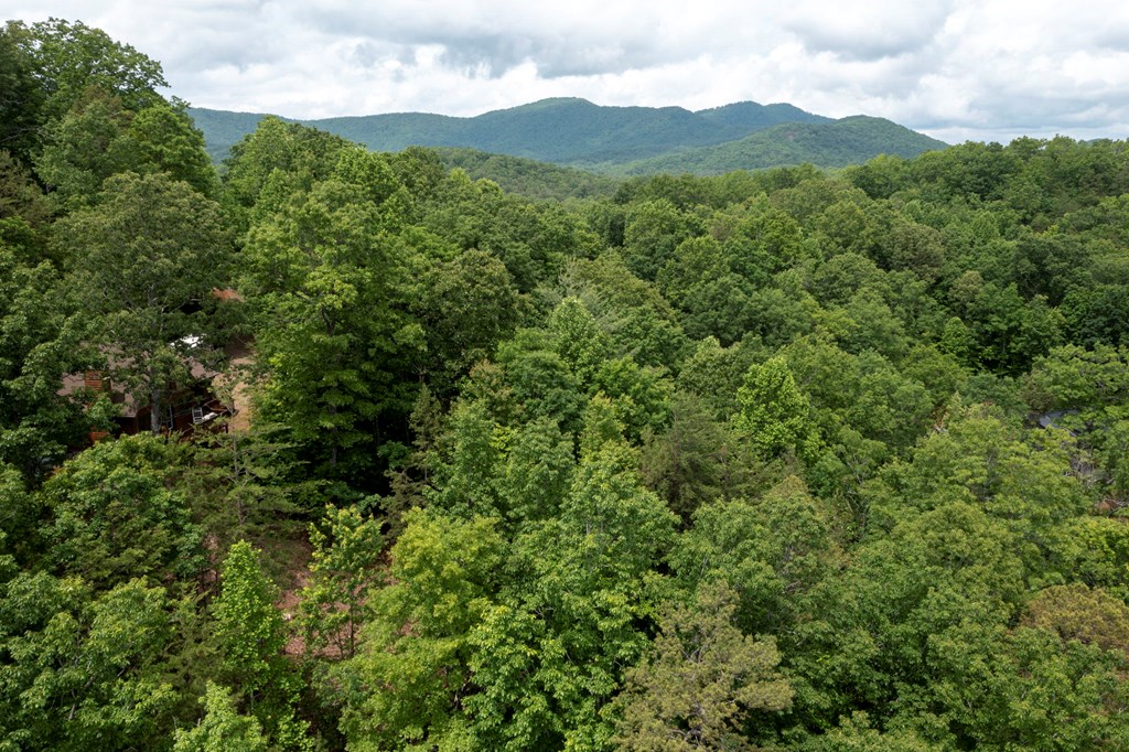 62 Green Cove Spur, MURPHY, North Carolina image 21