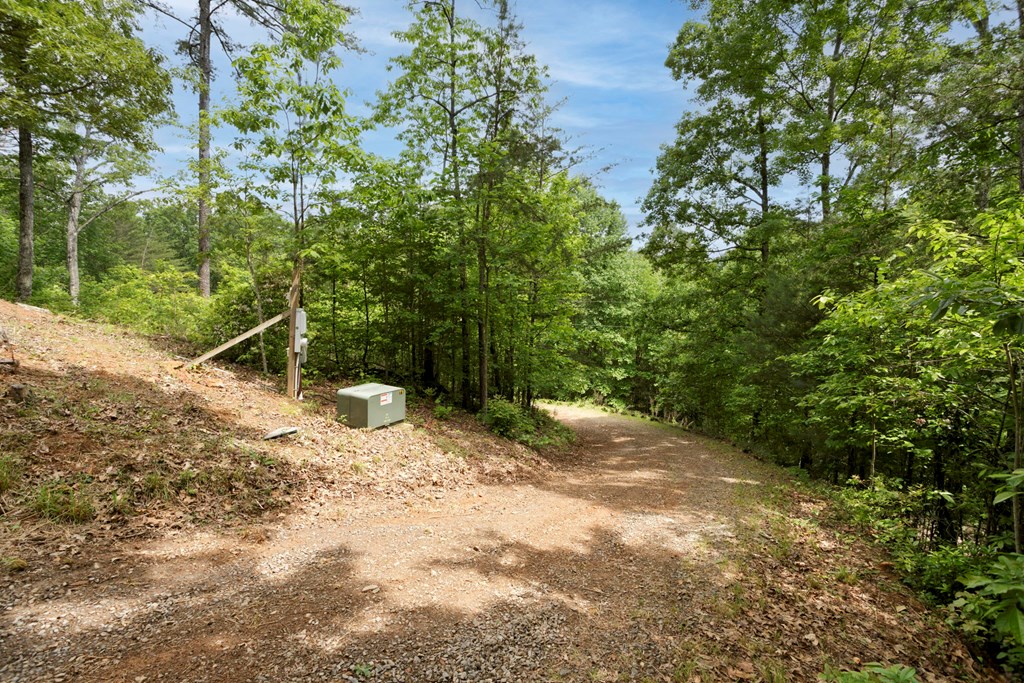 62 Green Cove Spur, MURPHY, North Carolina image 34