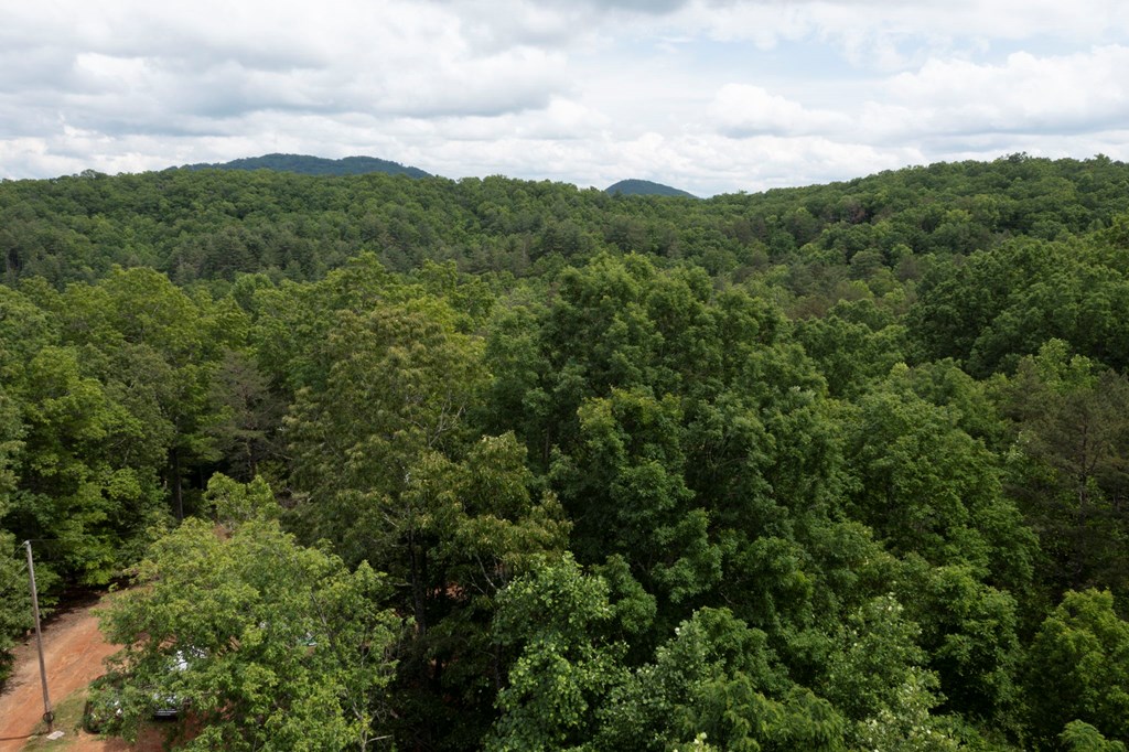 62 Green Cove Spur, MURPHY, North Carolina image 25