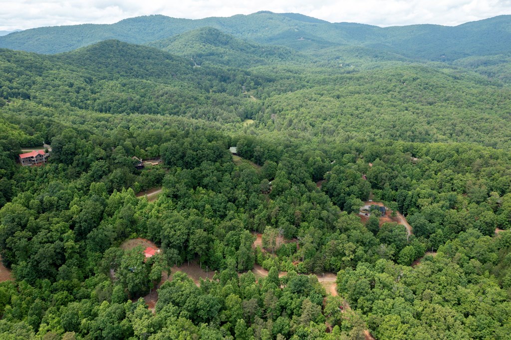 62 Green Cove Spur, MURPHY, North Carolina image 8