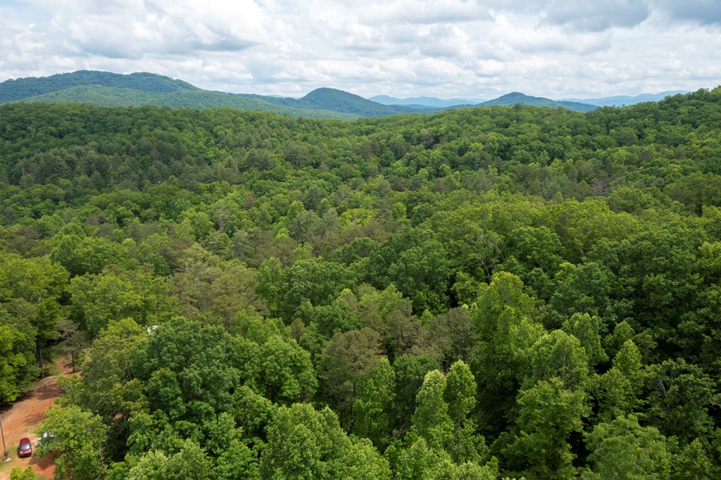 62 Green Cove Spur, MURPHY, North Carolina image 19