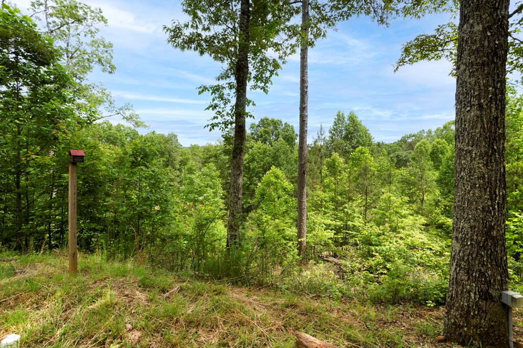 62 Green Cove Spur, MURPHY, North Carolina image 32