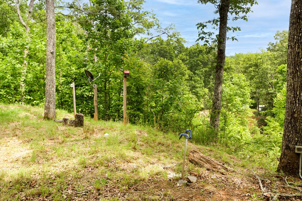 62 Green Cove Spur, MURPHY, North Carolina image 29