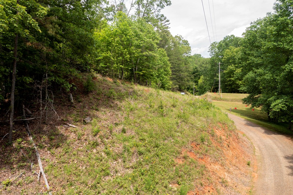 62 Green Cove Spur, MURPHY, North Carolina image 11