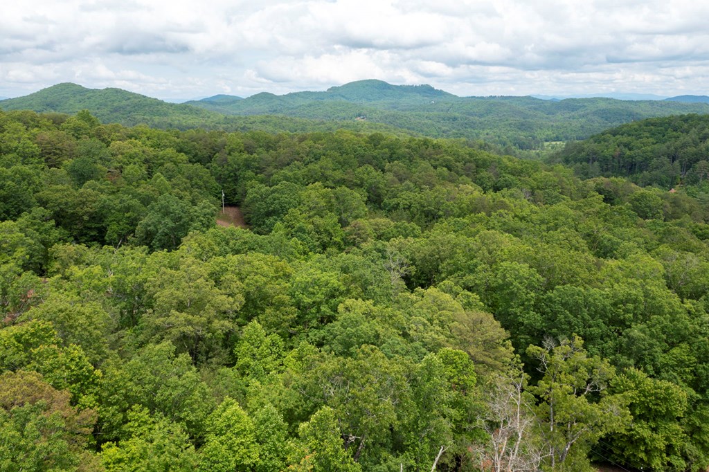62 Green Cove Spur, MURPHY, North Carolina image 20