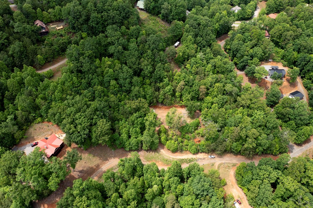 62 Green Cove Spur, MURPHY, North Carolina image 7