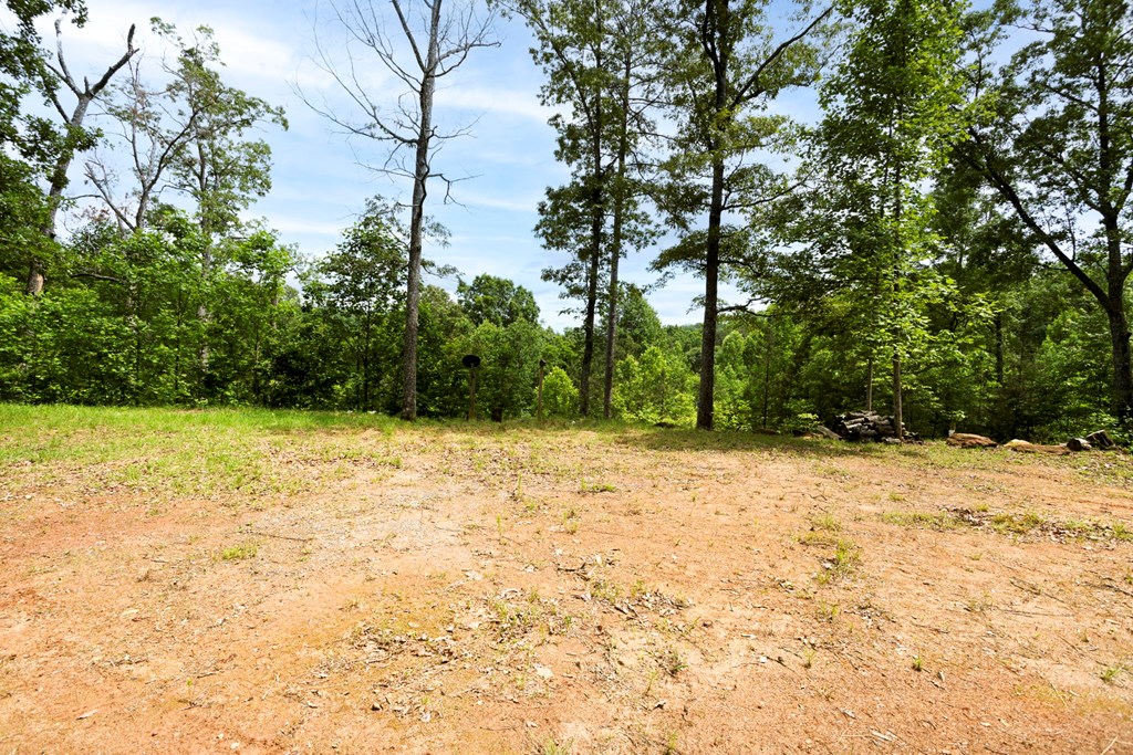62 Green Cove Spur, MURPHY, North Carolina image 31