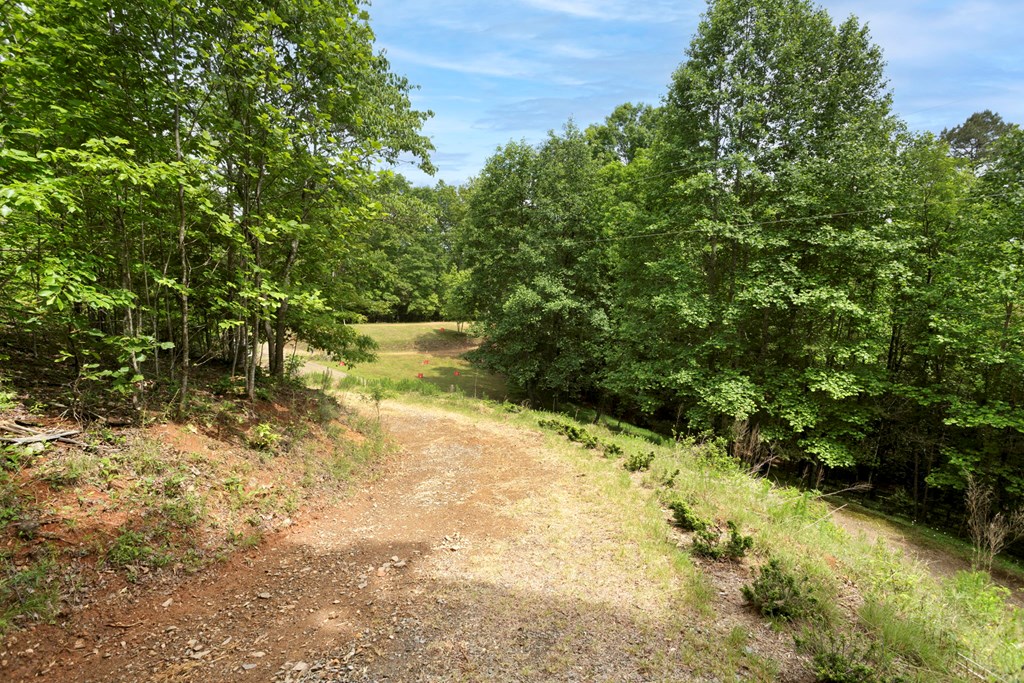 62 Green Cove Spur, MURPHY, North Carolina image 10