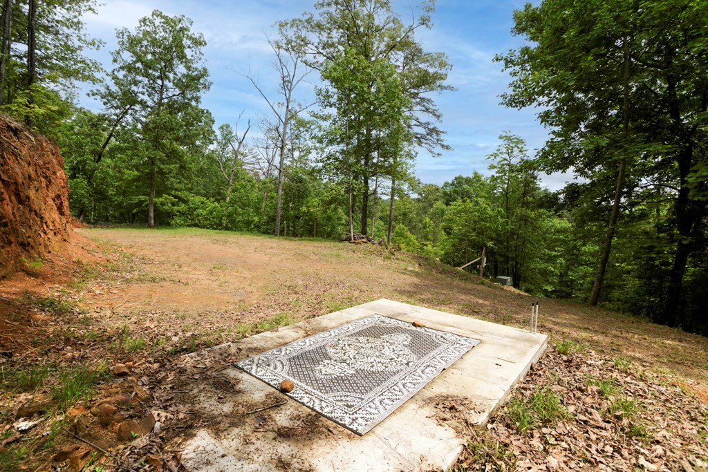 62 Green Cove Spur, MURPHY, North Carolina image 12