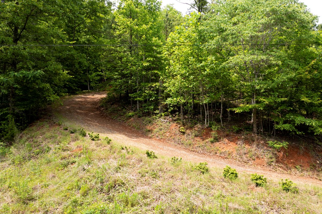 62 Green Cove Spur, MURPHY, North Carolina image 24
