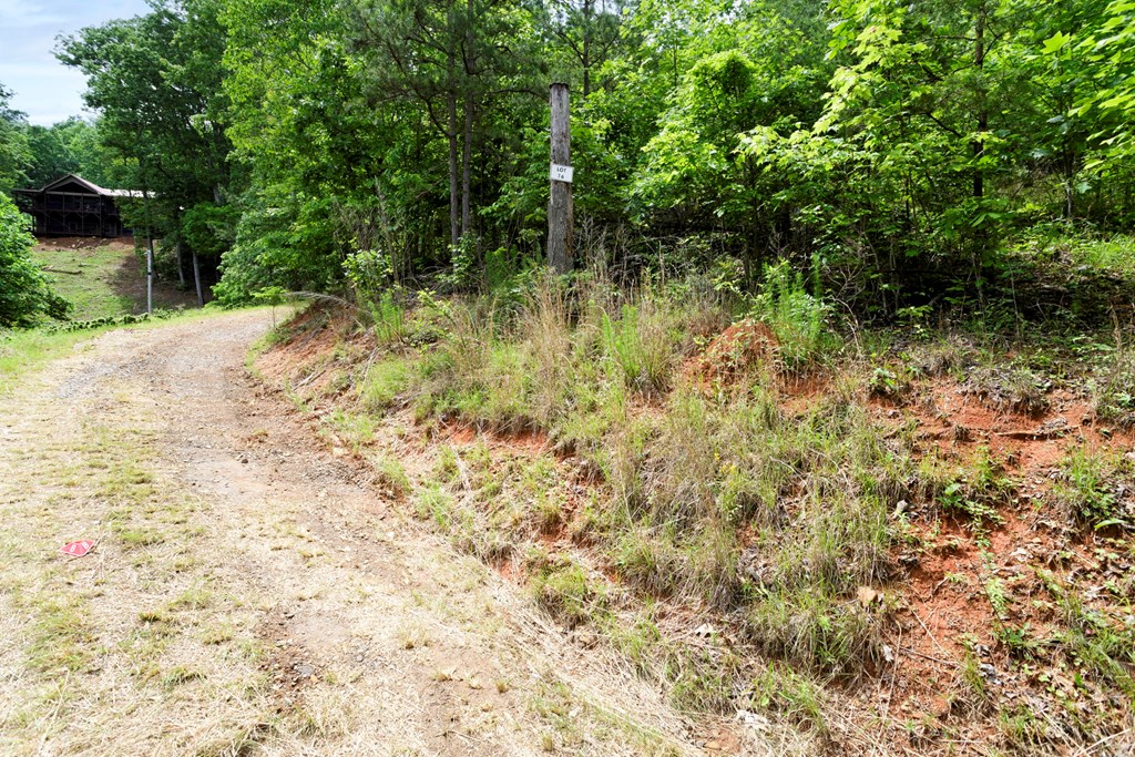 62 Green Cove Spur, MURPHY, North Carolina image 9