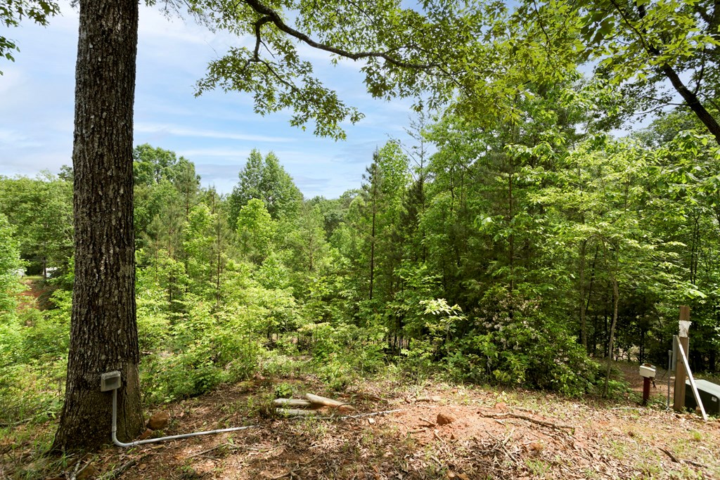 62 Green Cove Spur, MURPHY, North Carolina image 33