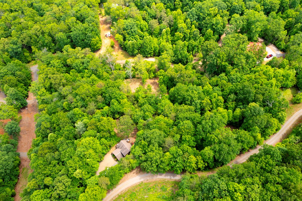 62 Green Cove Spur, MURPHY, North Carolina image 14