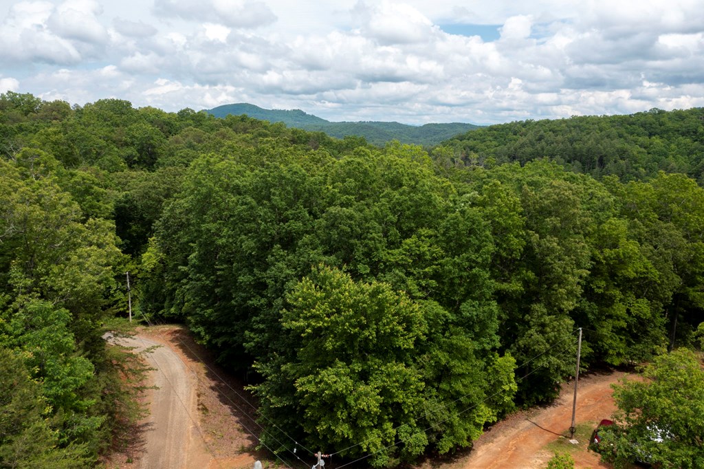 62 Green Cove Spur, MURPHY, North Carolina image 26