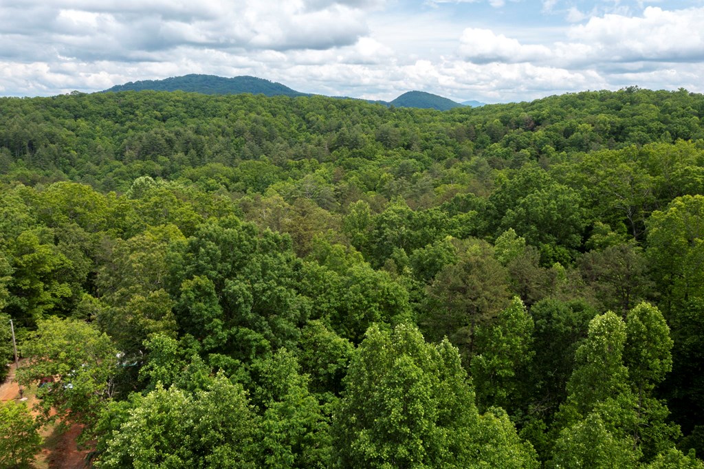 62 Green Cove Spur, MURPHY, North Carolina image 27