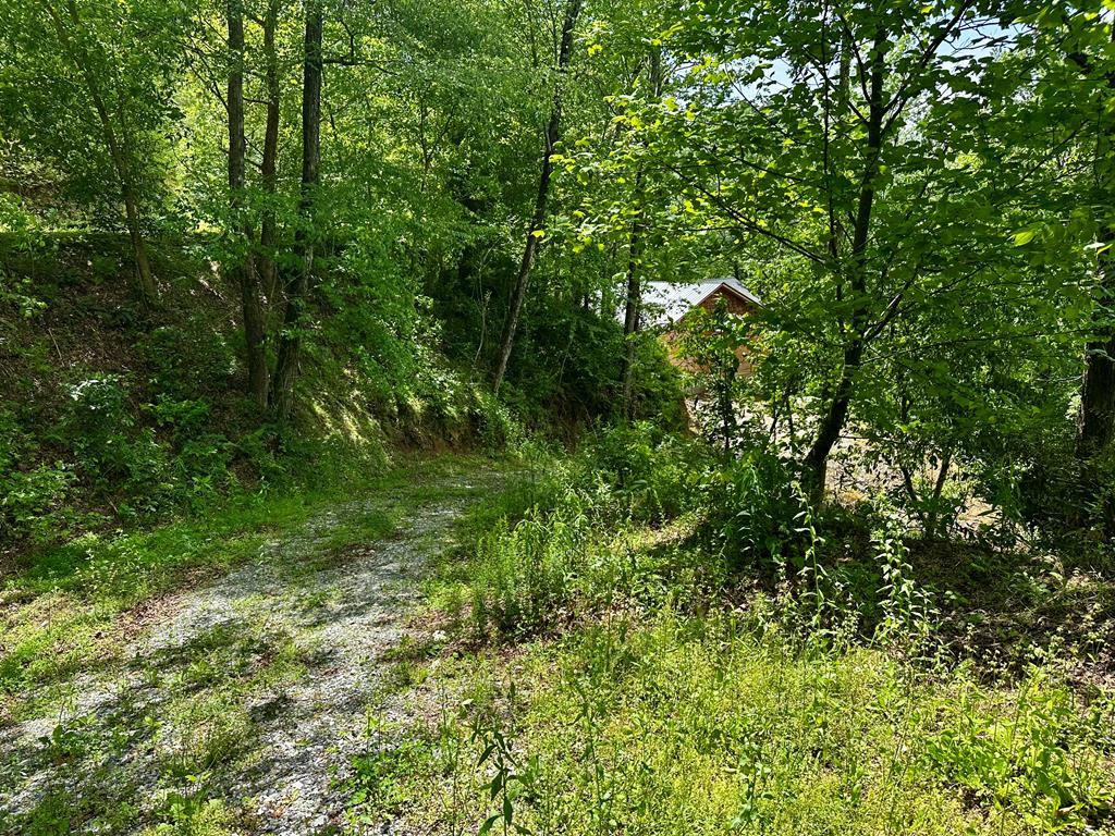 Lot 3 Jasmine Drive, MARBLE, North Carolina image 20