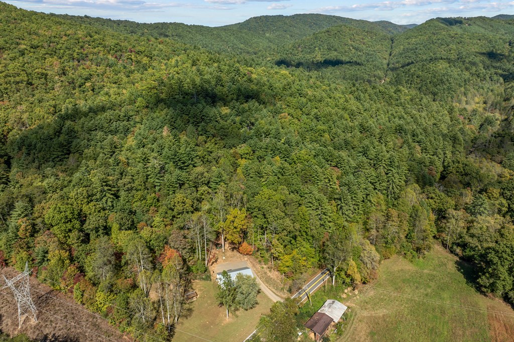 21136 Joe Brown Hwy, MURPHY, New York image 42