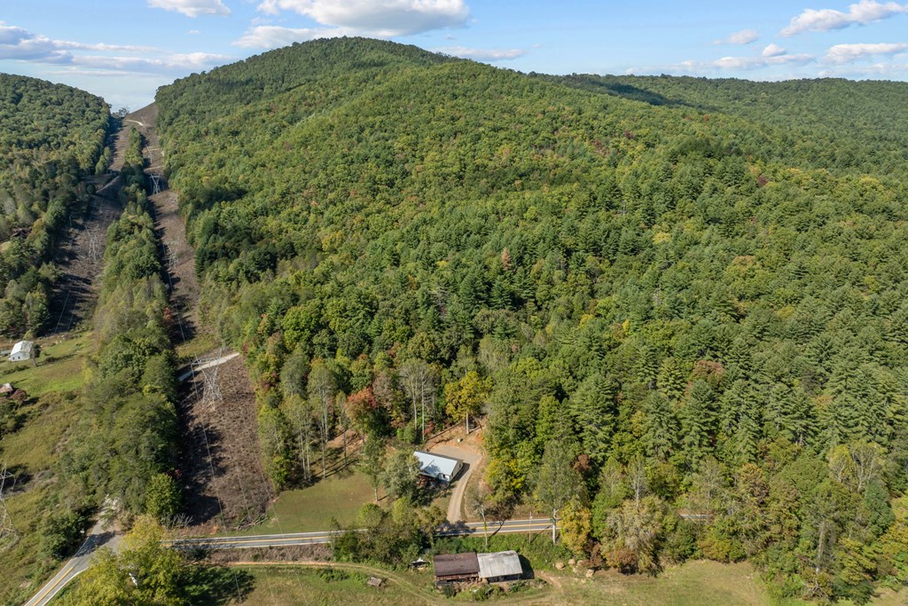 21136 Joe Brown Hwy, MURPHY, New York image 41