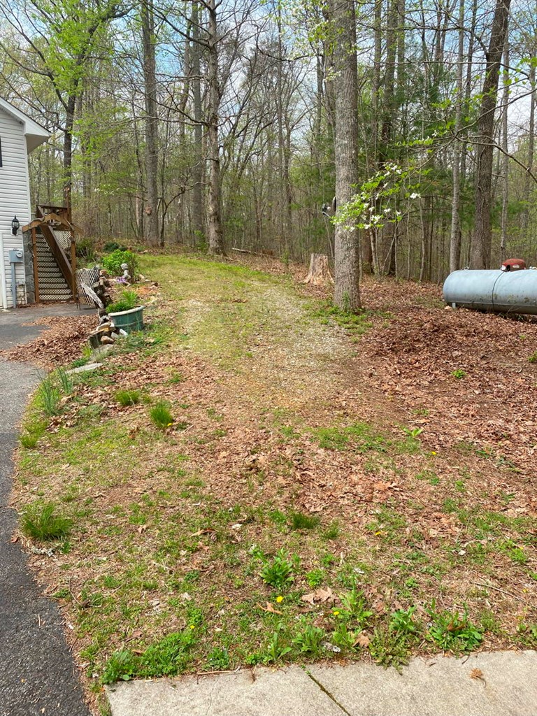 6364 Springwood Trail, YOUNG HARRIS, Georgia image 49