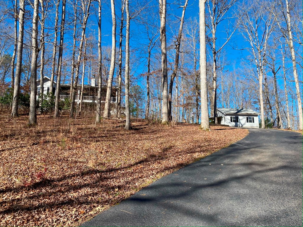 6364 Springwood Trail, YOUNG HARRIS, Georgia image 3