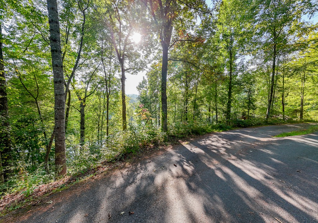 Lot 17 Castlewood #17, ROBBINSVILLE, North Carolina image 7