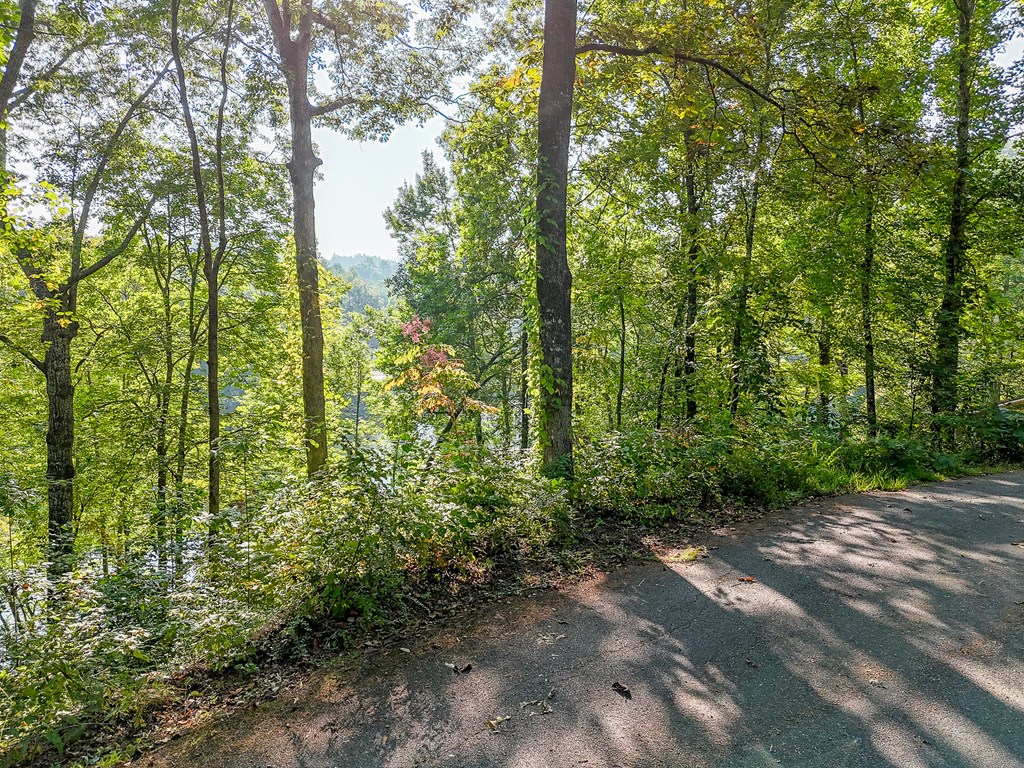 Lot 17 Castlewood #17, ROBBINSVILLE, North Carolina image 9