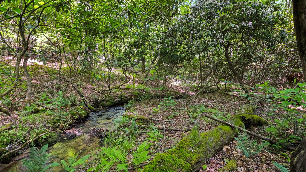 Lot 5 Lakeside Estates, HAYESVILLE, North Carolina image 35