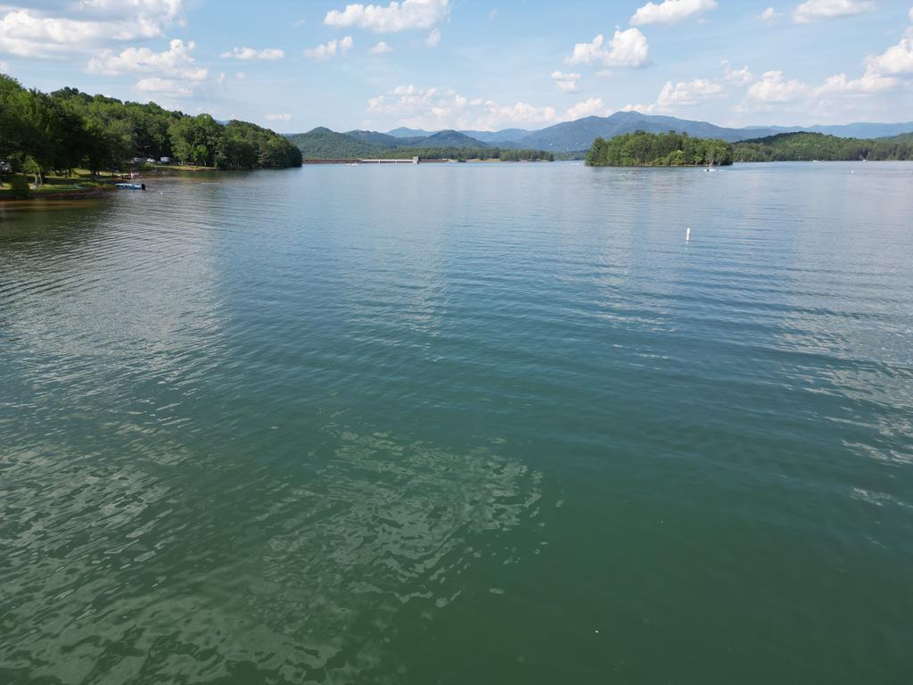 Lot 5 Lakeside Estates, HAYESVILLE, North Carolina image 40