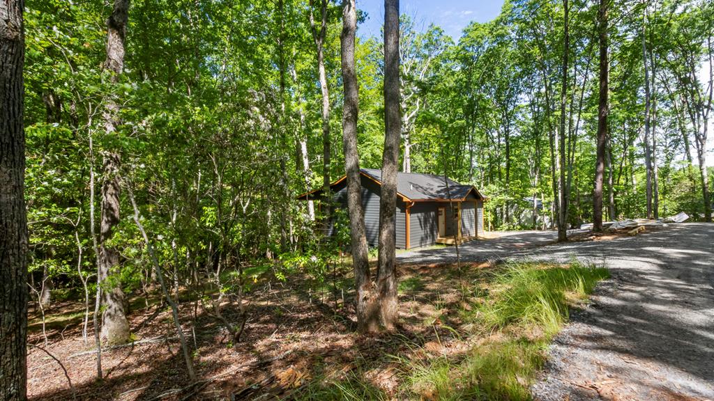 Lot 5 Lakeside Estates, HAYESVILLE, North Carolina image 36