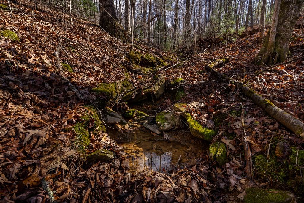 166 Windy Ridge, BLUE RIDGE, Georgia image 12