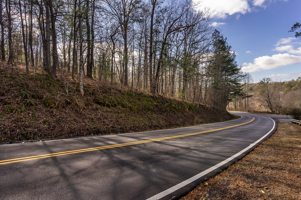 166 Windy Ridge, BLUE RIDGE, Georgia image 11