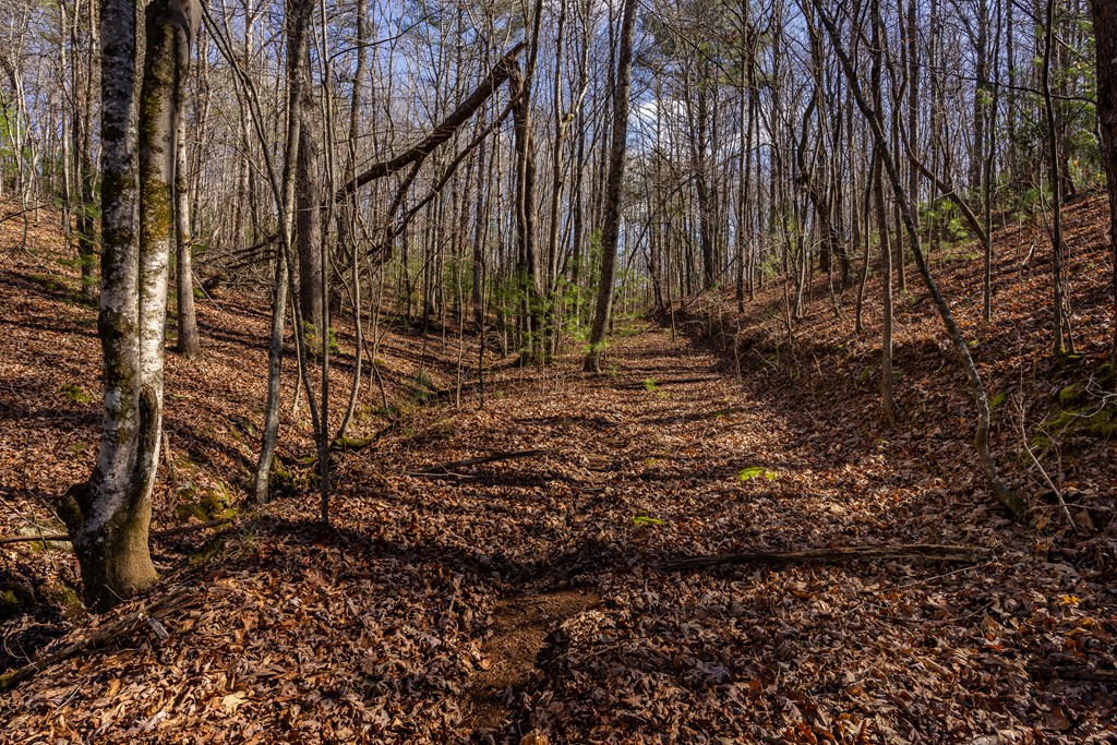 166 Windy Ridge, BLUE RIDGE, Georgia image 14