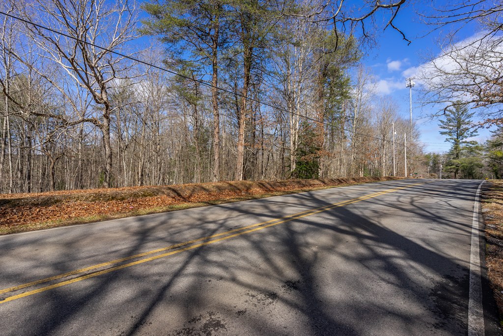 166 Windy Ridge, BLUE RIDGE, Georgia image 9